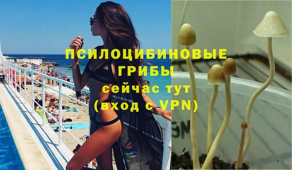 a pvp Вяземский