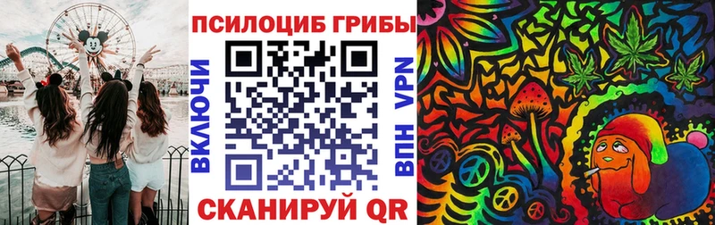 Псилоцибиновые грибы MAGIC MUSHROOMS  Купить  Десногорск 